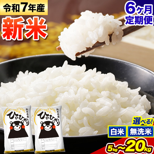 [6ヶ月定期便]新米 令和7年産 無洗米 も選べる ひのひかり 定期便あり 5kg 10kg 15kg 20kg[申込み翌月から発送] 熊本県産 ふるさと納税 無洗米 白米 精米 ひの 米 こめ ふるさとのうぜい ヒノヒカリ コメ お米