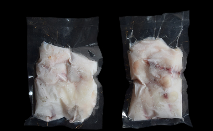 九十九里産天然とらふぐてっちり鍋用2人前 魚貝類 ふぐの身 ふわふわ 旨味 濃縮 濃厚な味わい 鍋物 海鮮鍋 海鮮 魚介 海の幸 鍋用とらふぐ 鍋用ふぐの身 