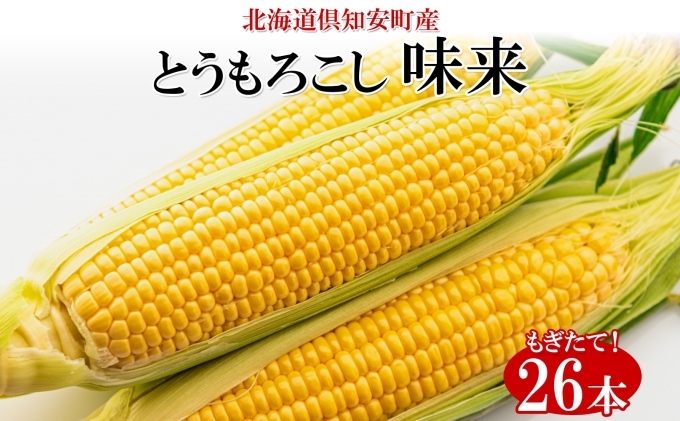 【 2026年 出荷 】 北海道産 朝もぎ イエロー とうもろこし 味来 みらい 2Lサイズ 26本 約10kg 夏野菜 とうきび 新鮮 野菜 トウモロコシ 甘い ギフト 産地直送 コーン 産直 グリーンアースファーム