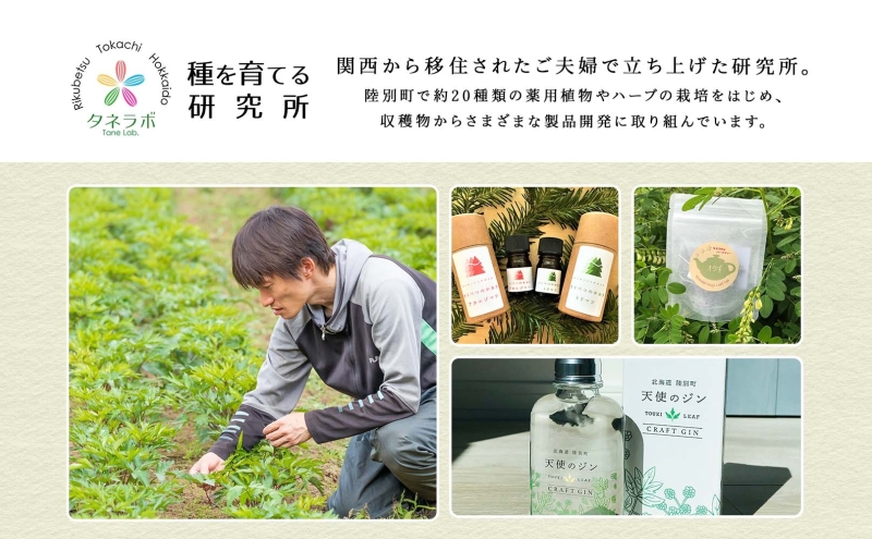 北海道 クラフトジン 天使のジン 500ml お酒 ジン ハーブ トウキ 酒