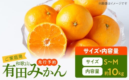 【和歌山県有田郡湯浅町】AT6322_ご家庭用 有田みかん 約10kg (S、Mサイズ)【湯浅町】