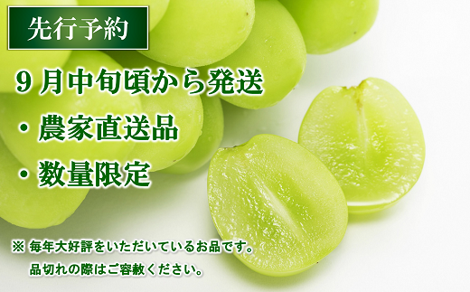 山形県南陽市のふるさと納税 【令和7年産先行予約】 シャインマスカット 約2kg (3～4房 秀) 《令和7年9月中旬～発送》 『生産者おまかせ』 マスカット ぶどう 種なし 果物 フルーツ デザート 山形県 南陽市 [635]