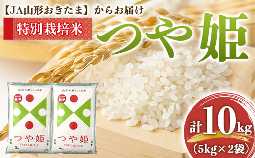 【令和7年産】 JA 特別栽培米 つや姫 