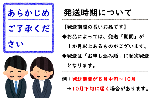 山形県南陽市のふるさと納税 【令和7年産先行予約】 ラ・フランス 約3kg (6～10玉 秀) 《令和7年10月下旬～11月下旬発送》 『フードシステムズ』 ラフランス 西洋梨 洋なし 果物 フルーツ デザート 山形県 南陽市 [848-R7]