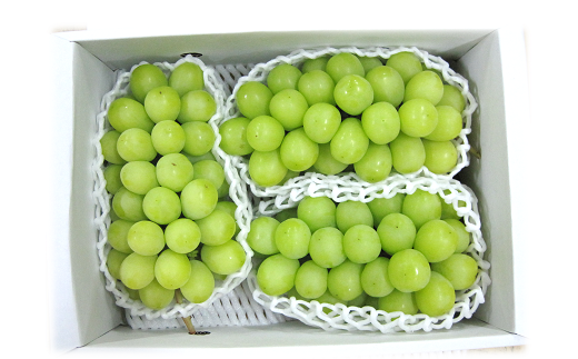 ※画像はイメージです。実際の商品や梱包資材は写真と異なる場合がございます。