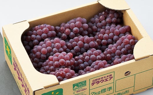 山形県南陽市のふるさと納税 【令和7年産先行予約】 JA デラウェア 約2kg (2L 秀) 《令和7年7月下旬～8月下旬発送》 『JA山形おきたま』 葡萄 ぶどう ブドウ 種なし 果物 フルーツ 山形県 南陽市 [921]