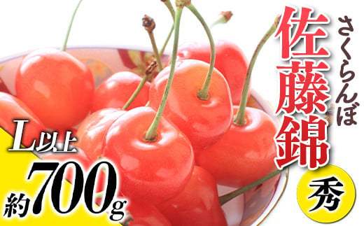 【令和8年産先行予約】 さくらんぼ 「佐藤