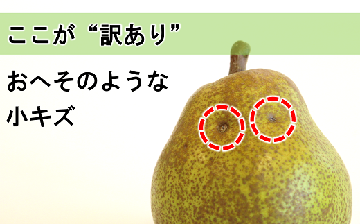 山形県南陽市のふるさと納税 【令和7年産先行予約】 〈訳あり品 家庭用〉 ラ・フランス 約5kg (10～18玉 中～大玉) 《令和7年11月上旬～発送》 『旬の果実 佐藤市右衛門農園』 山形県 南陽市 [1047]