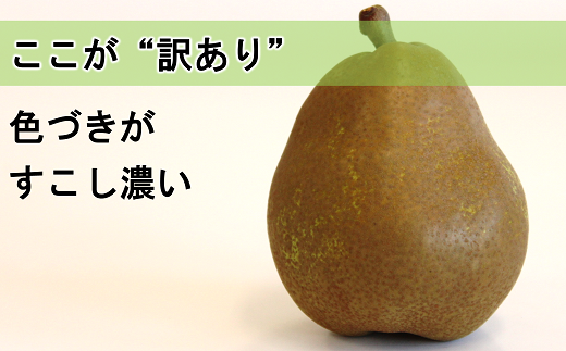 山形県南陽市のふるさと納税 【令和7年産先行予約】 〈訳あり品 家庭用〉 ラ・フランス 約5kg (10～18玉 中～大玉) 《令和7年11月上旬～発送》 『旬の果実 佐藤市右衛門農園』 山形県 南陽市 [1047]