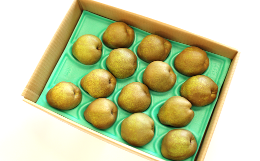 山形県南陽市のふるさと納税 【令和7年産先行予約】 〈訳あり品 家庭用〉 ラ・フランス 約5kg (10～18玉 中～大玉) 《令和7年11月上旬～発送》 『旬の果実 佐藤市右衛門農園』 山形県 南陽市 [1047]