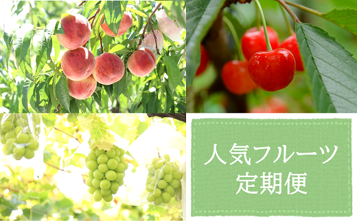 山形県南陽市のふるさと納税 【令和7年産先行予約】 《定期便3回》 人気フルーツ定期便 『フードシステムズ』 山形県 南陽市 [1149-R7]