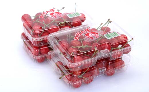 山形県南陽市のふるさと納税 【令和8年産先行予約】 さくらんぼ 「佐藤錦または紅秀峰」 720g (180g×4パック 秀 L以上) 《令和8年6月上旬～発送》 『南陽中央青果市場』 サクランボ 山形県 南陽市 [1476]