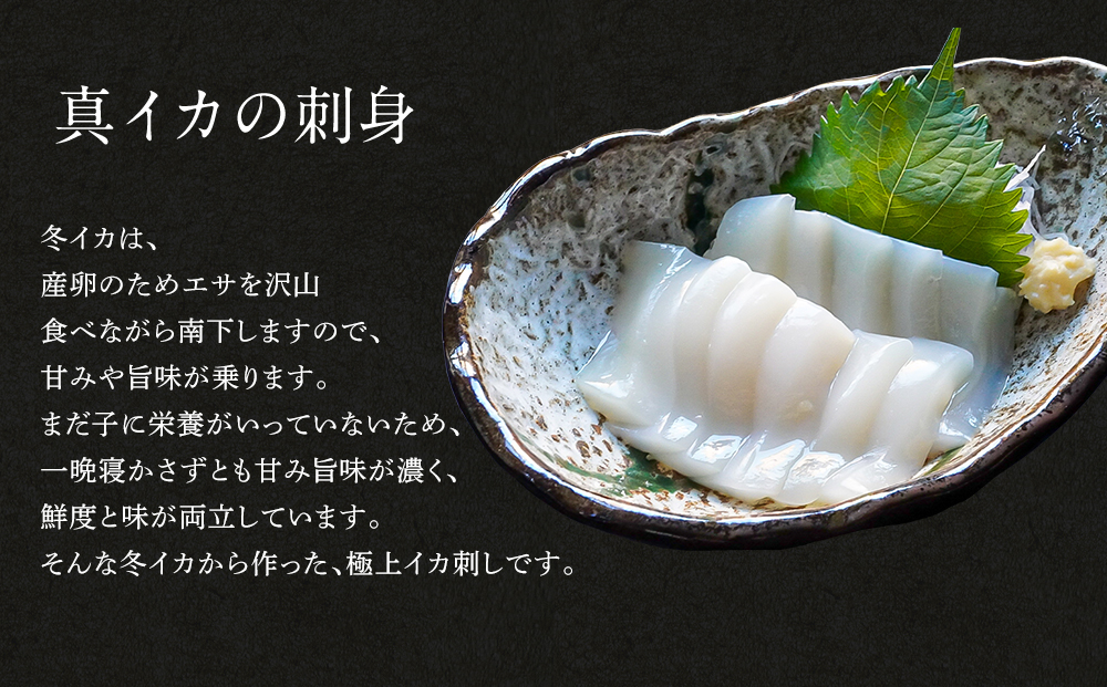 【2025年11月下旬発送】訳あり 漁師町鹿部のイカ尽くしセット 全5品 いか イカ 詰め合わせ セット