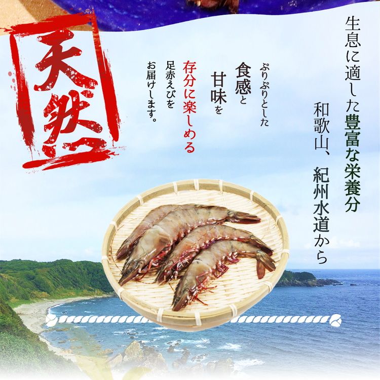 紀州和歌山産天然足赤えび540g（270g×2パック）　化粧箱入
※着日指定不可
※2025年11月末頃〜2026年1月下旬頃に順次発送予定