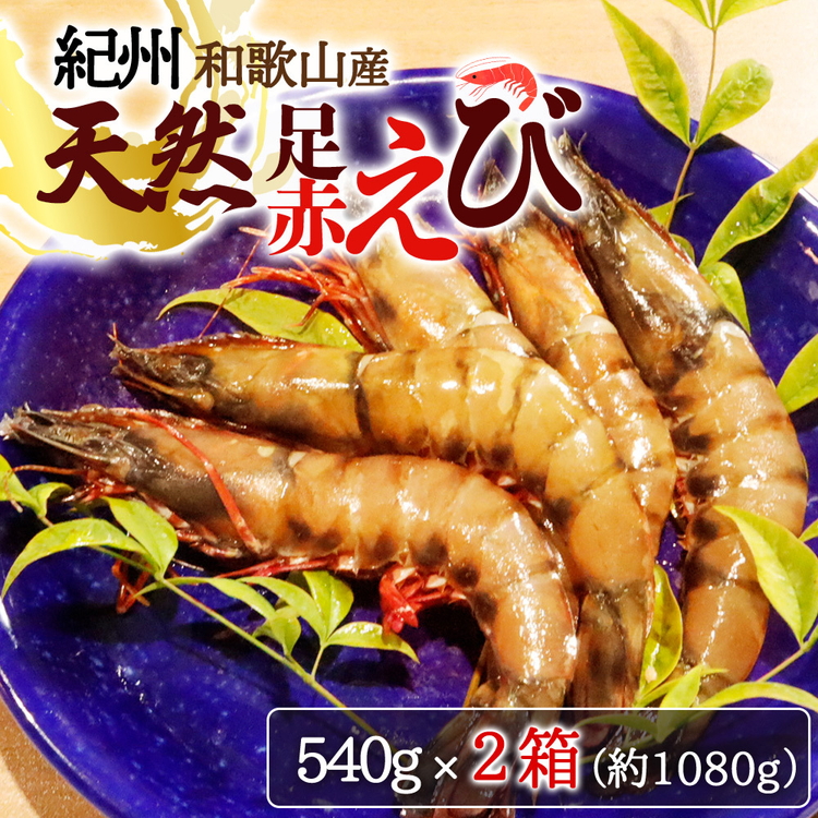 紀州和歌山産天然足赤えび540g×2箱（270g×4パック）　化粧箱入
※着日指定不可
※2025年11月末頃〜2026年1月下旬頃に順次発送予定