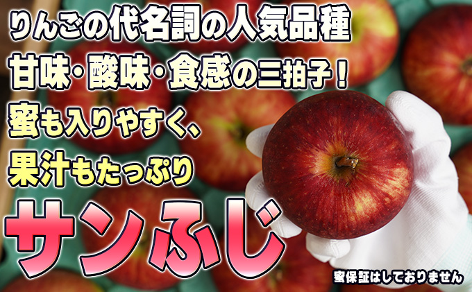 青森県鶴田町のふるさと納税 1月発送【 糖度保証 】家庭用 葉取らず サンふじ 約 5kg【 訳あり 】鶴翔りんごGAP部会 青森県産 津軽産 リンゴ 林檎 果物 フルーツ デザート 甘味