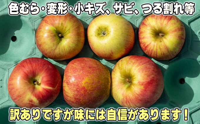 青森県鶴田町のふるさと納税 1月発送【 糖度保証 】家庭用 葉取らず サンふじ 約 5kg【 訳あり 】鶴翔りんごGAP部会 青森県産 津軽産 リンゴ 林檎 果物 フルーツ デザート 甘味