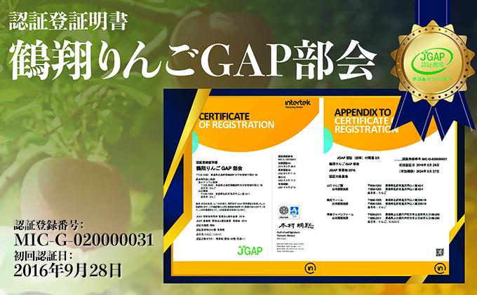 青森県鶴田町のふるさと納税 1月発送【 糖度保証 】家庭用 葉取らず サンふじ 約 5kg【 訳あり 】鶴翔りんごGAP部会 青森県産 津軽産 リンゴ 林檎 果物 フルーツ デザート 甘味