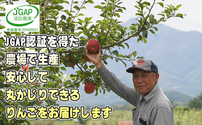 青森県鶴田町のふるさと納税 1月発送【 糖度保証 】家庭用 葉取らず サンふじ 約 5kg【 訳あり 】鶴翔りんごGAP部会 青森県産 津軽産 リンゴ 林檎 果物 フルーツ デザート 甘味
