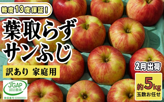2月発送【 糖度保証 】家庭用 葉取らず サンふじ 約 5kg【 訳あり 】鶴翔りんごGAP部会 青森県産 津軽産 リンゴ 林檎 果物 フルーツ デザート 甘味