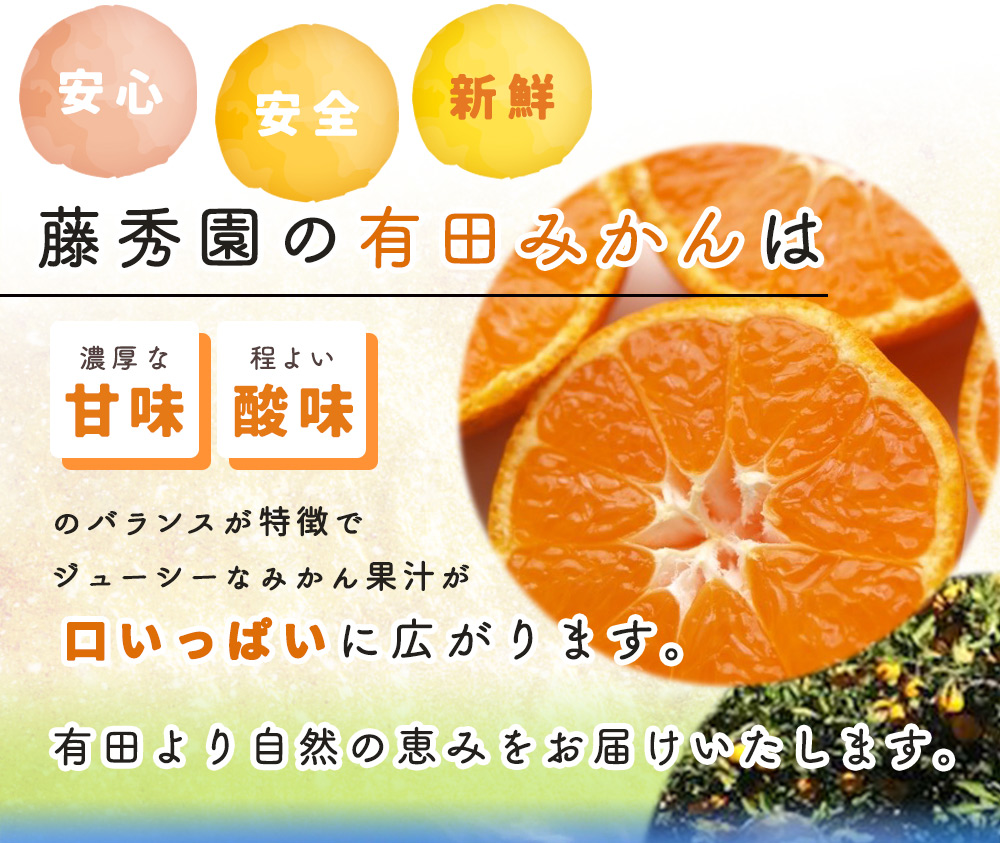 ZT6228n_【TVで紹介されました】こだわりの 有田みかん 【訳あり 家庭用】 5kg 藤秀園 【ミカン 柑橘 温州みかん 和歌山 有田 楽天限定】