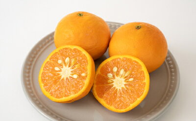 ZT6230n_【2026年先行予約】こだわりの 清見 オレンジ 【訳あり 家庭用】 5kg 藤秀園