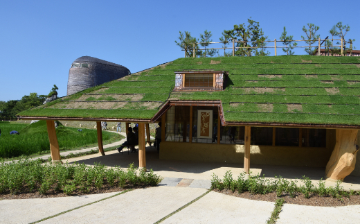 【年内発送】【たねや】カステラ１・栗饅頭５・斗升最中５個入【FT06W】