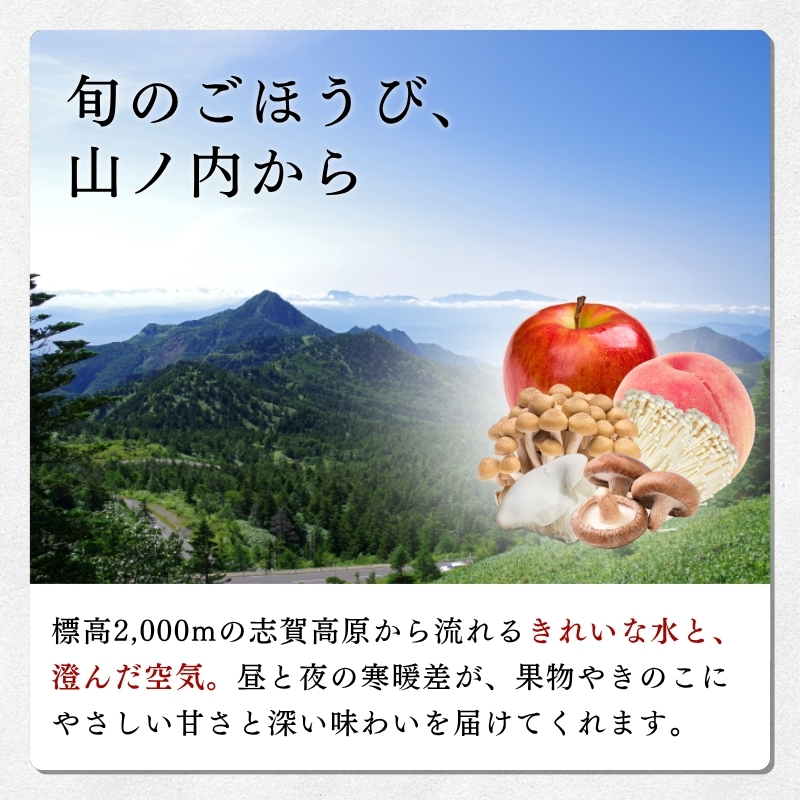 志賀高原の麓で育った きのこセット  きのこ 詰め合わせ セット えのき ぶなしめじ しいたけ 長野