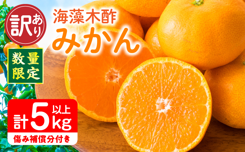 訳あり 数量限定 海藻木酢みかん 計5kg