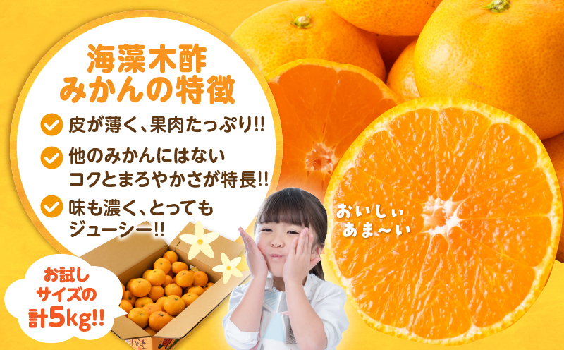 宮崎県日南市のふるさと納税 訳あり 数量限定 海藻木酢みかん 計5kg以上 傷み補償分付き フルーツ 果物 くだもの 柑橘 みかん 国産 期間限定 食品 家庭用 自宅用 B品 わけあり オレンジ デザート おやつ おすすめ おすそ分け ご褒美 お取り寄せ グルメ 産地直送 宮崎県 日南市 送料無料_A94-25