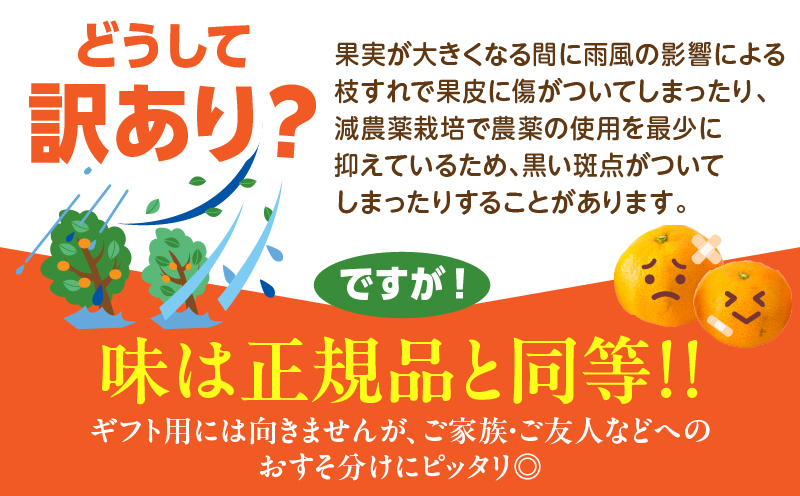 宮崎県日南市のふるさと納税 訳あり 数量限定 海藻木酢みかん 計10kg以上 傷み補償分付き フルーツ 果物 くだもの 柑橘 みかん 国産 期間限定 食品 家庭用 自宅用 B品 わけあり オレンジ デザート おやつ おすすめ おすそ分け ご褒美 お取り寄せ グルメ 産地直送 宮崎県 日南市 送料無料_BBV4-25