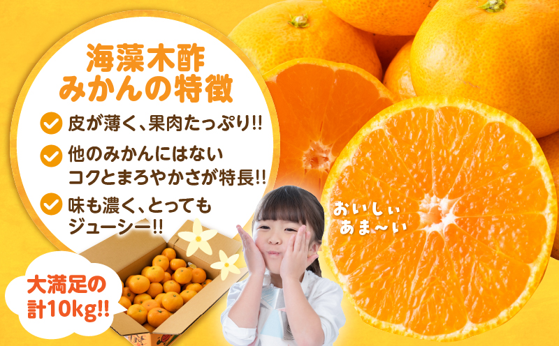 宮崎県日南市のふるさと納税 訳あり 数量限定 海藻木酢みかん 計10kg以上 傷み補償分付き フルーツ 果物 くだもの 柑橘 みかん 国産 期間限定 食品 家庭用 自宅用 B品 わけあり オレンジ デザート おやつ おすすめ おすそ分け ご褒美 お取り寄せ グルメ 産地直送 宮崎県 日南市 送料無料_BBV4-25