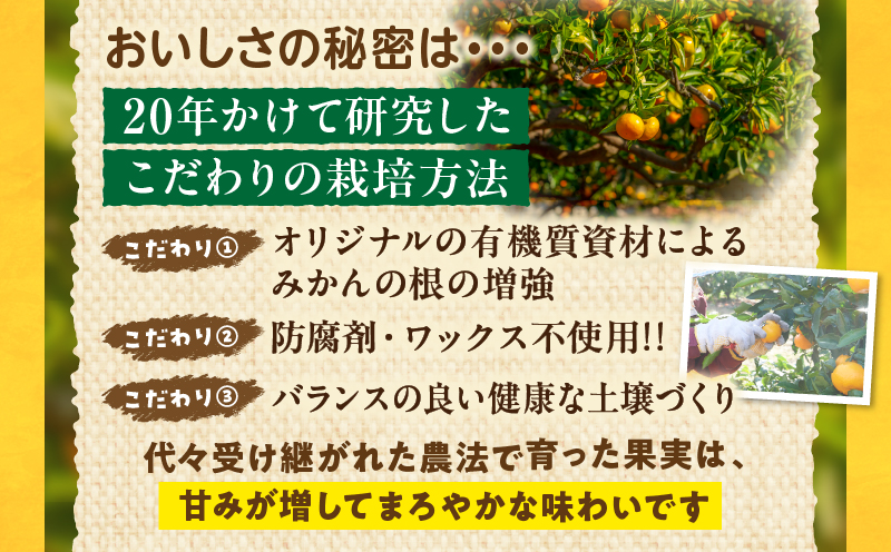 宮崎県日南市のふるさと納税 訳あり 数量限定 海藻木酢みかん 計10kg以上 傷み補償分付き フルーツ 果物 くだもの 柑橘 みかん 国産 期間限定 食品 家庭用 自宅用 B品 わけあり オレンジ デザート おやつ おすすめ おすそ分け ご褒美 お取り寄せ グルメ 産地直送 宮崎県 日南市 送料無料_BBV4-25