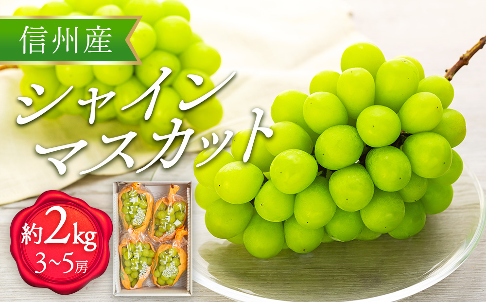 長野県箕輪町のふるさと納税 シャインマスカット 2kg 3～5房 ぶどう 葡萄 ブドウ マスカット 果物 くだもの フルーツ 旬の果物 旬のフルーツ 信州 長野 長野県