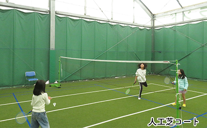 チケット ふれあい健康アイランド プレミアム 回数 利用券 健康維持 運動施設 VR 人工芝コート カラオケ ヨガ 遊び 運動 