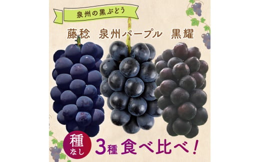 大阪府泉南市のふるさと納税 泉州ぶどう 泉州の黒ぶどう3種食べ比べセット【065C-002】