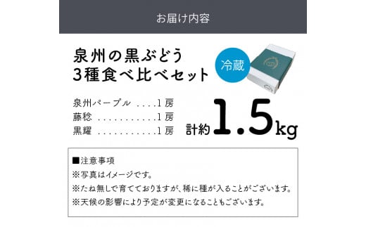 大阪府泉南市のふるさと納税 泉州ぶどう 泉州の黒ぶどう3種食べ比べセット【065C-002】