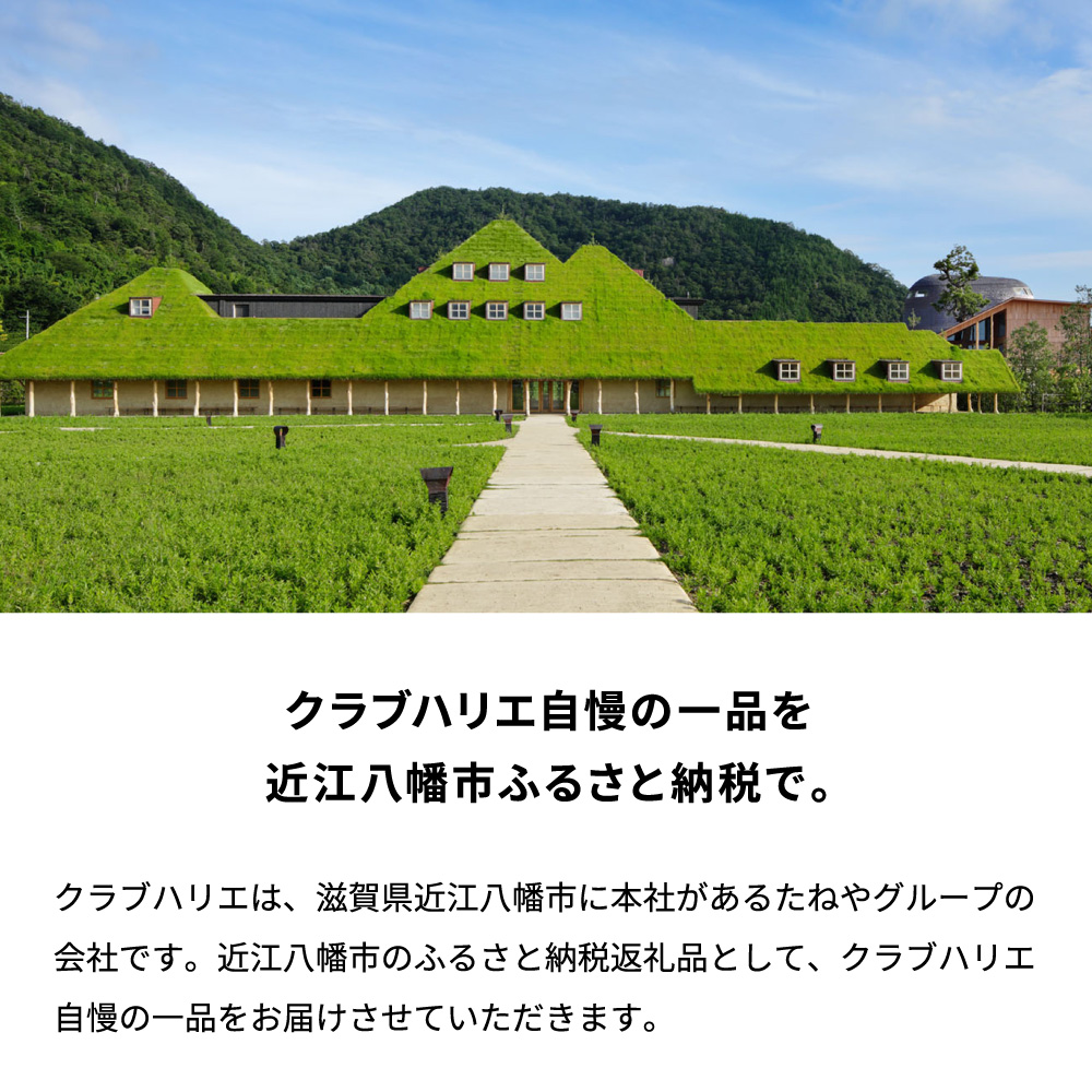 【年内発送】【クラブハリエ】バームクーヘンｍｉｎｉ　８個入 個包装【FC02W】