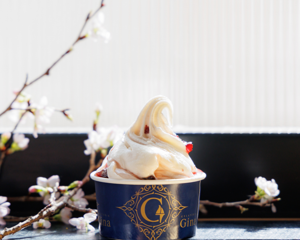 長野県軽井沢町のふるさと納税 本格イタリアンジェラート　ギフトパック12個入 デザート スイーツ ひんやり 詰め合わせ フルーツソルベット ミルク チェリー ピスタチオ ヘーゼルナッツ チョコ