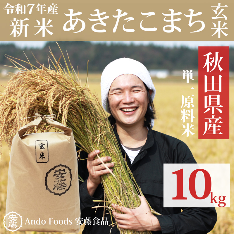 秋田県三種町のふるさと納税 《令和7年産 新米先行受付》秋田県産 あきたこまち 10kg(10kg×1袋)【玄米】令和7年産