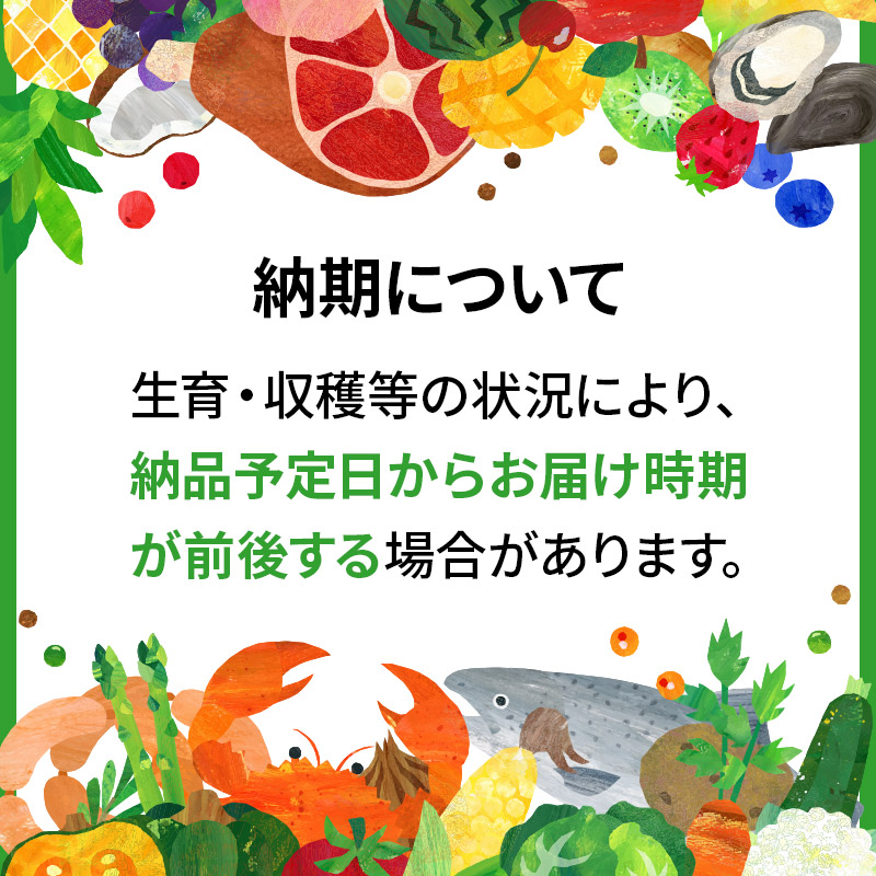 秋田県三種町のふるさと納税 《令和7年産 新米先行受付》秋田県産 あきたこまち 10kg(10kg×1袋)【玄米】令和7年産