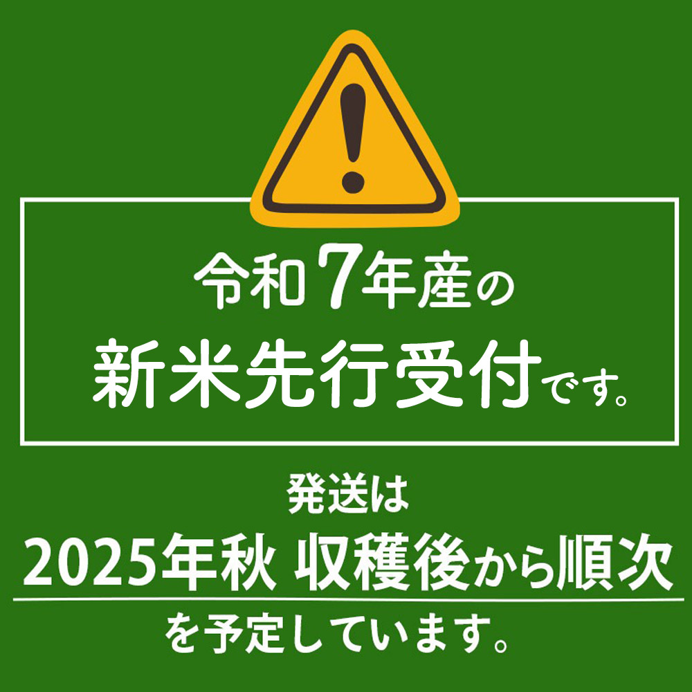 秋田県三種町のふるさと納税 《令和7年産 新米先行受付》秋田県産 あきたこまち 10kg(10kg×1袋)【玄米】令和7年産