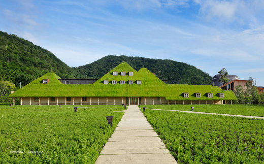 【年内発送】【たねや】カステラ２本入【FT04W】