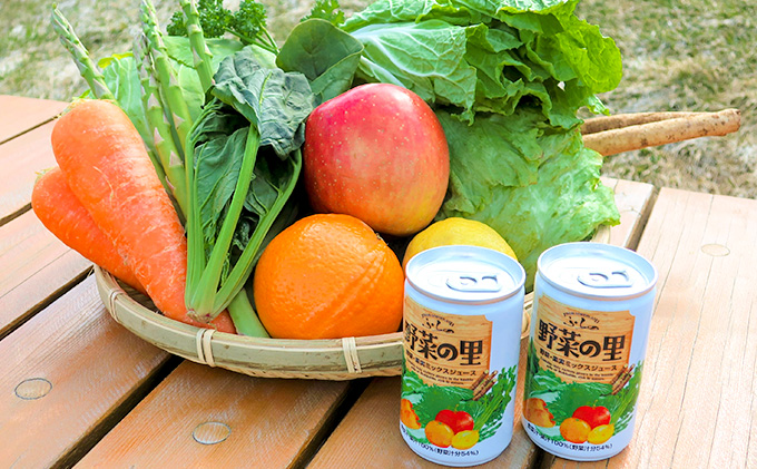 【 3ヵ月 定期便 】ふらの 野菜の里 160g×30本入　野菜 果物 ミックスジュース (ジュース 野菜ジュース 飲み物 缶 北海道 送料無料 道産 富良野市 ふらの)