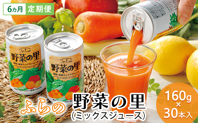 【北海道富良野市】【 6ヵ月 定期便 】ふらの 野菜の里 160g×30本入 野菜 果物 ミックスジュース  (ジュース 野菜ジュース 飲み物 缶 北海道 送料無料 道産 富良野市 ふらの)