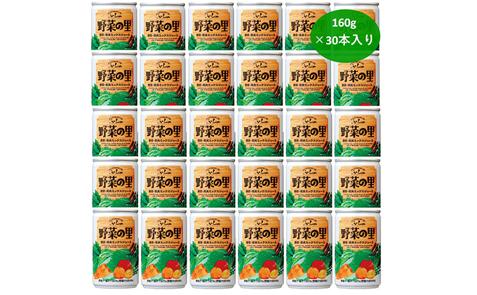 【 6ヵ月 定期便 】ふらの 野菜の里 160g×30本入　野菜 果物 ミックスジュース  (ジュース 野菜ジュース 飲み物 缶 北海道 送料無料 道産 富良野市 ふらの)