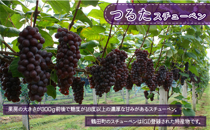 鶴田バターサンド 6個入り お菓子 洋菓子 スイーツ おやつ 手土産 お土産 ティータイム ほんのり塩味 サクサク 濃厚バタークリーム 