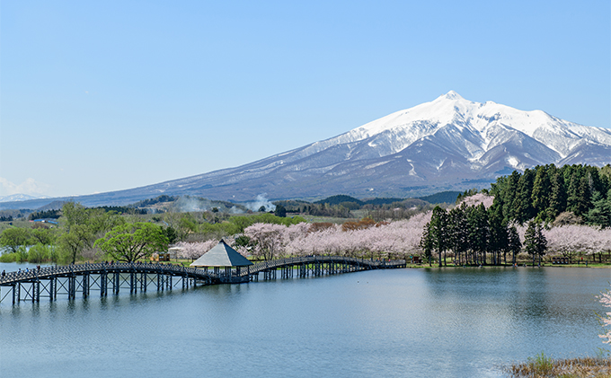 鶴田バターサンド 6個入り お菓子 洋菓子 スイーツ おやつ 手土産 お土産 ティータイム ほんのり塩味 サクサク 濃厚バタークリーム 
