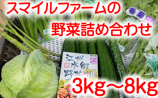 近江農家野菜詰め合わせセット３kg～８kg【FM03W】
