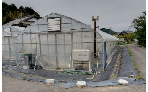 近江農家野菜詰め合わせセット３kg～８kg【FM03W】